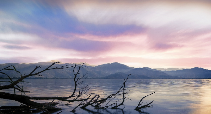 De la Normalización a la Acción: Enfrentando el Maltrato en la Carrera Médica